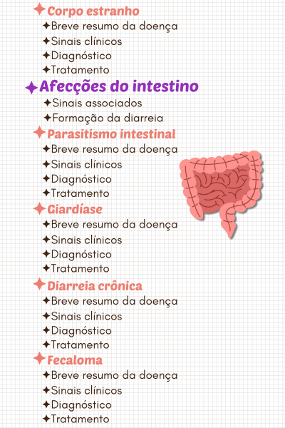 Cópia de Inserir um título (2)