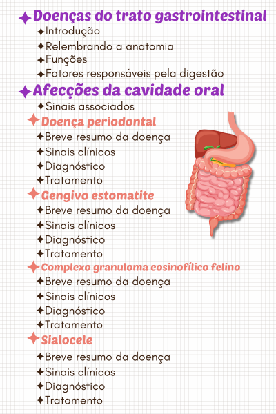 Cópia de Inserir um título