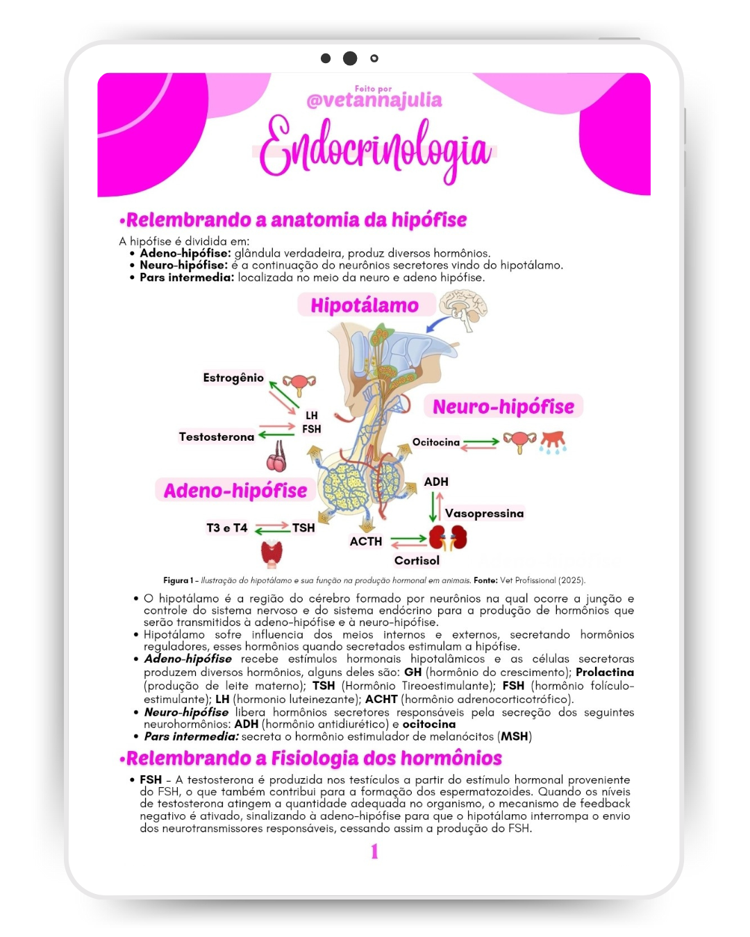 Design sem nome (28)