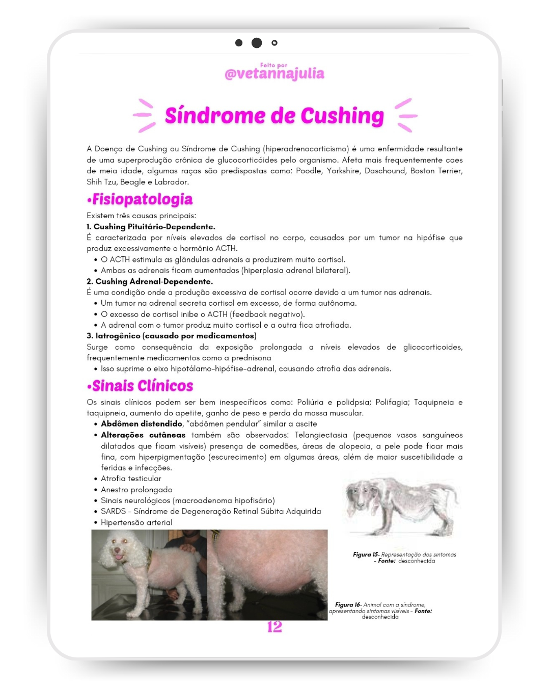 Design sem nome (29)