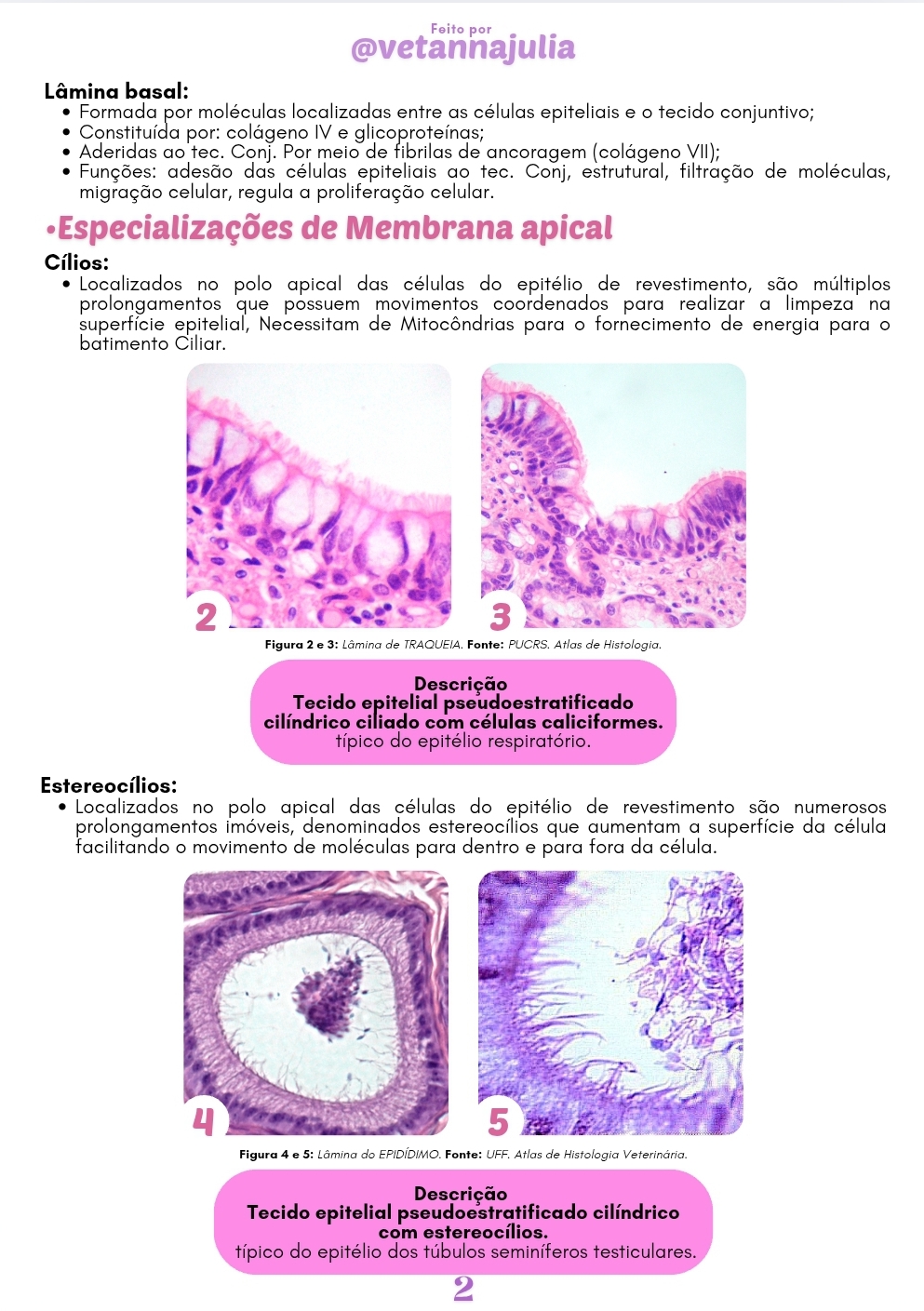 Screenshot_20250606_151028_Canva