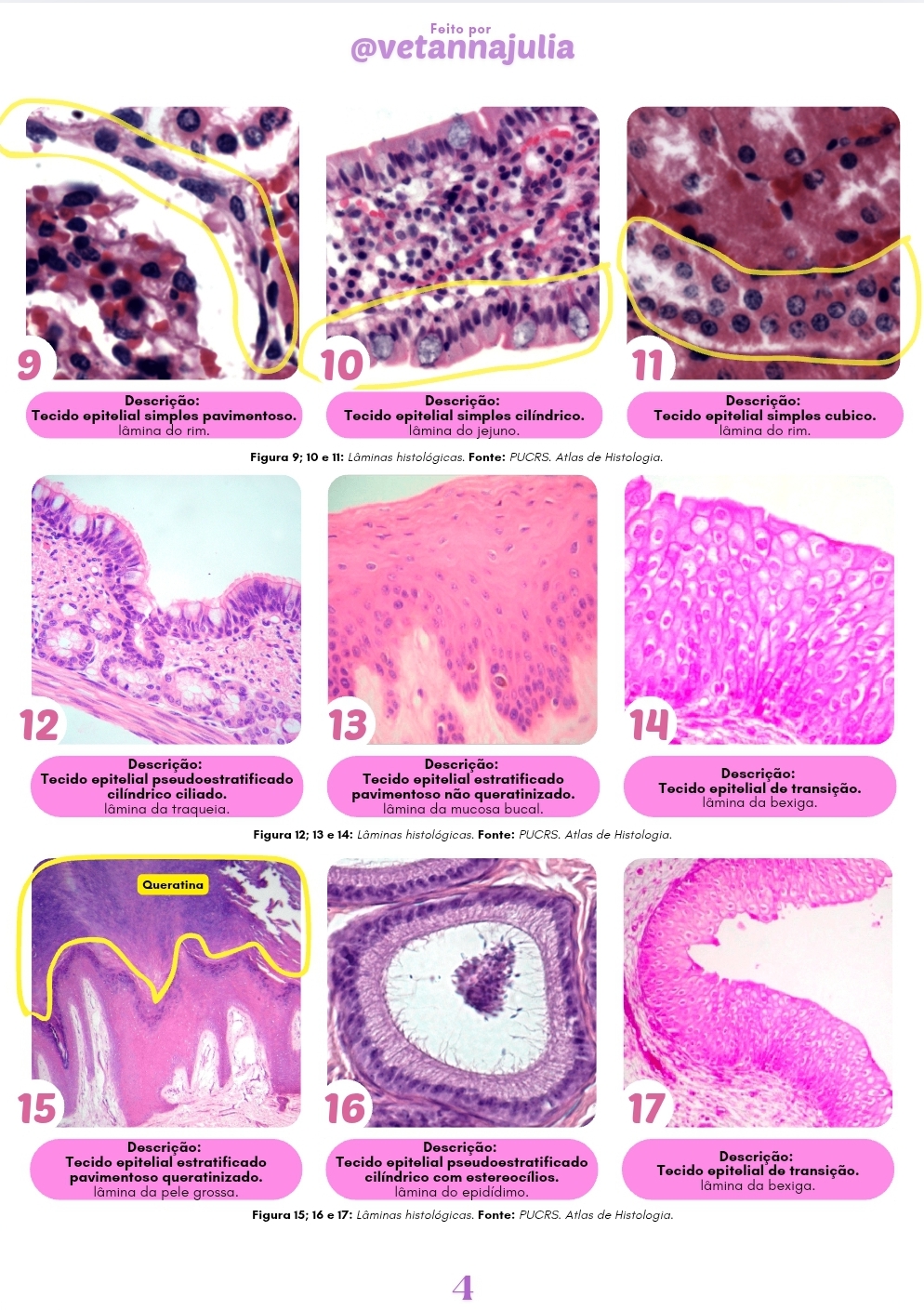 Screenshot_20250606_151058_Canva