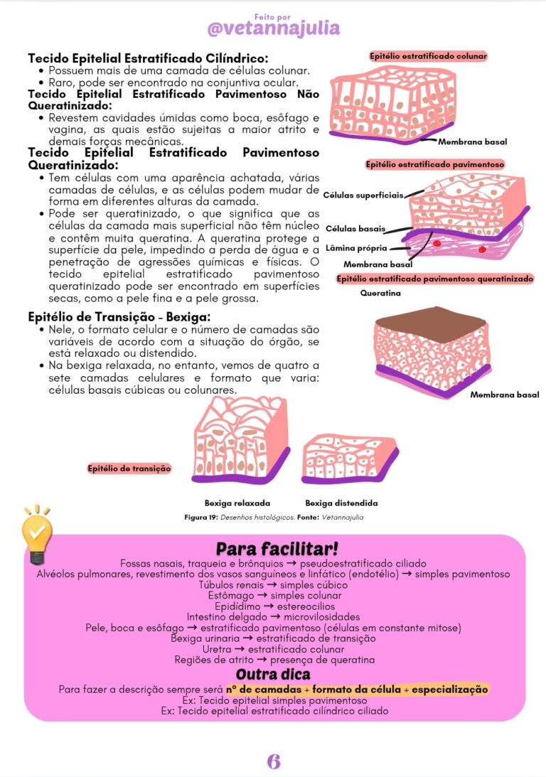 Screenshot_20250606_151132_Canva