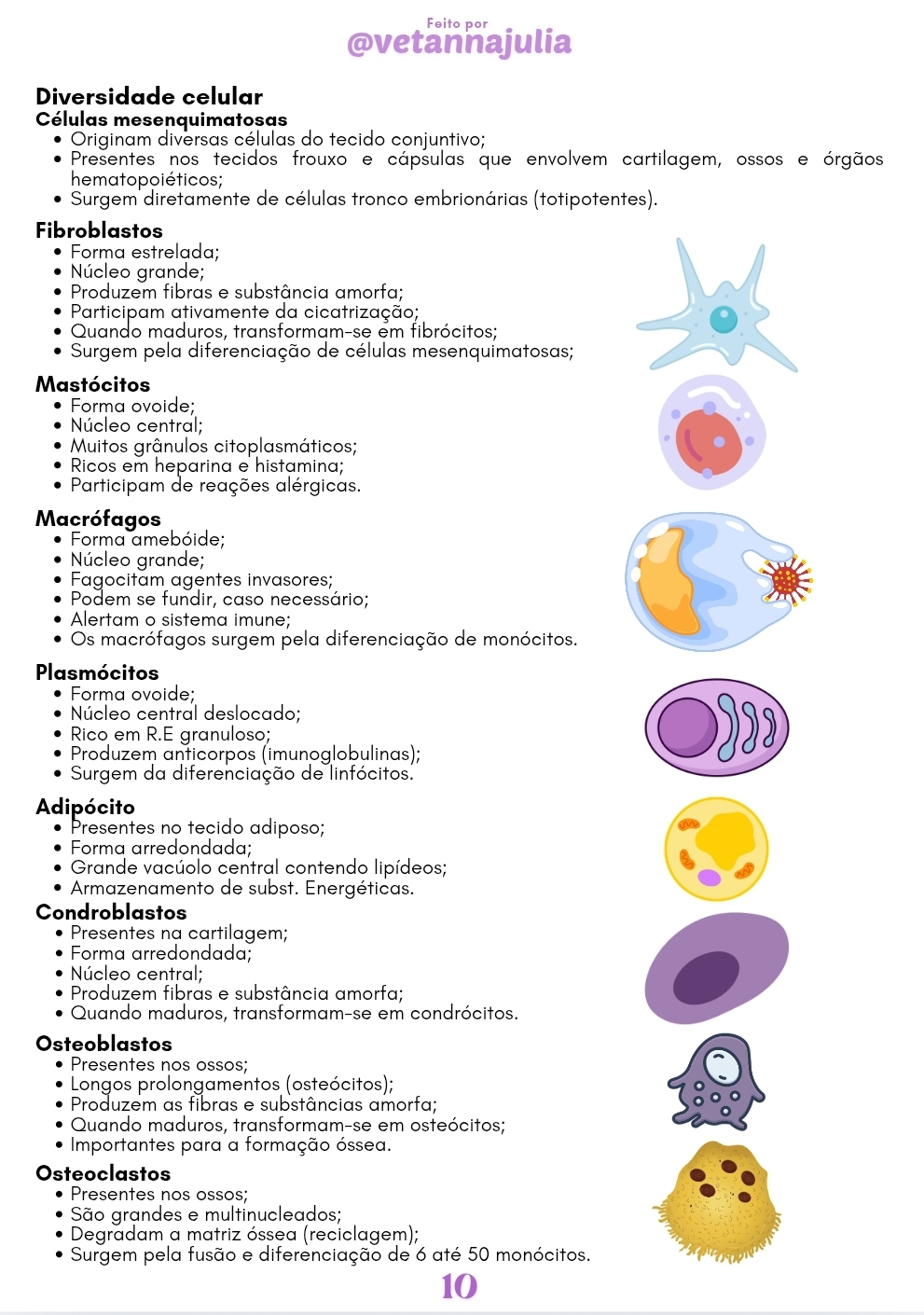 Screenshot_20250606_151229_Canva