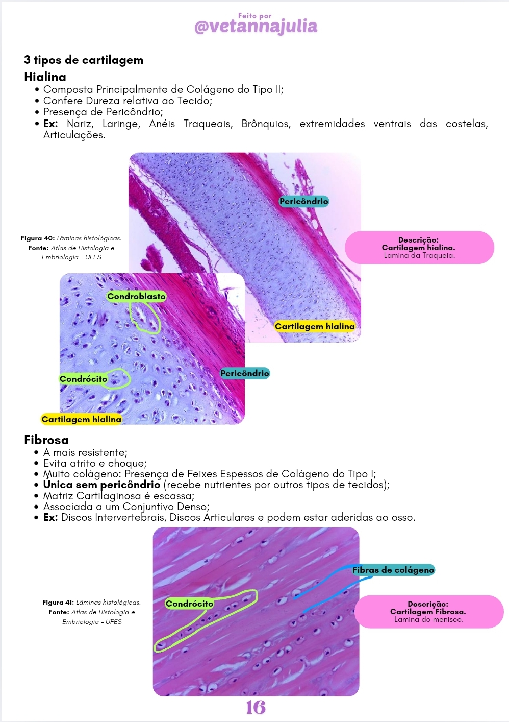 Screenshot_20250606_151259_Canva