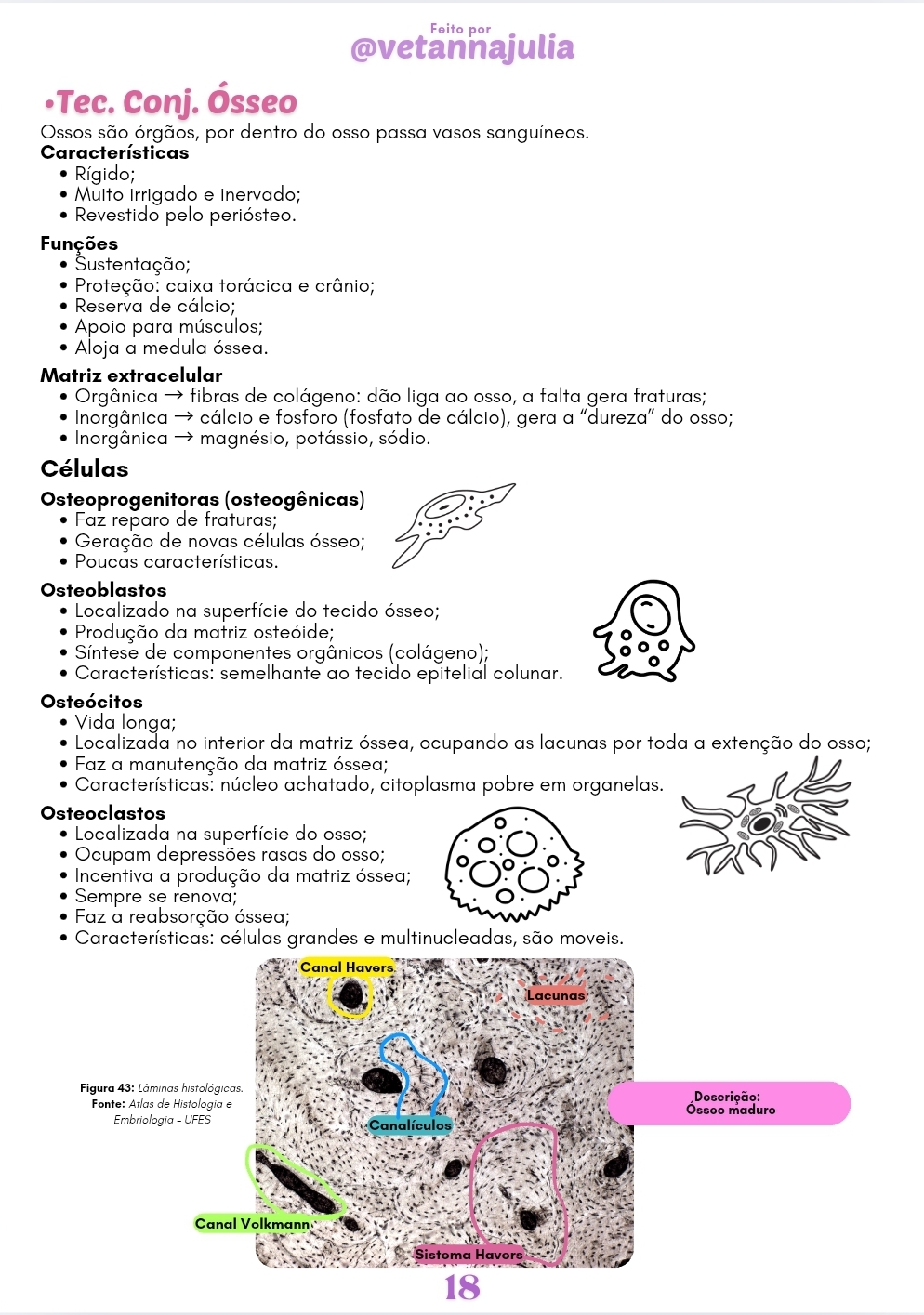 Screenshot_20250606_151320_Canva