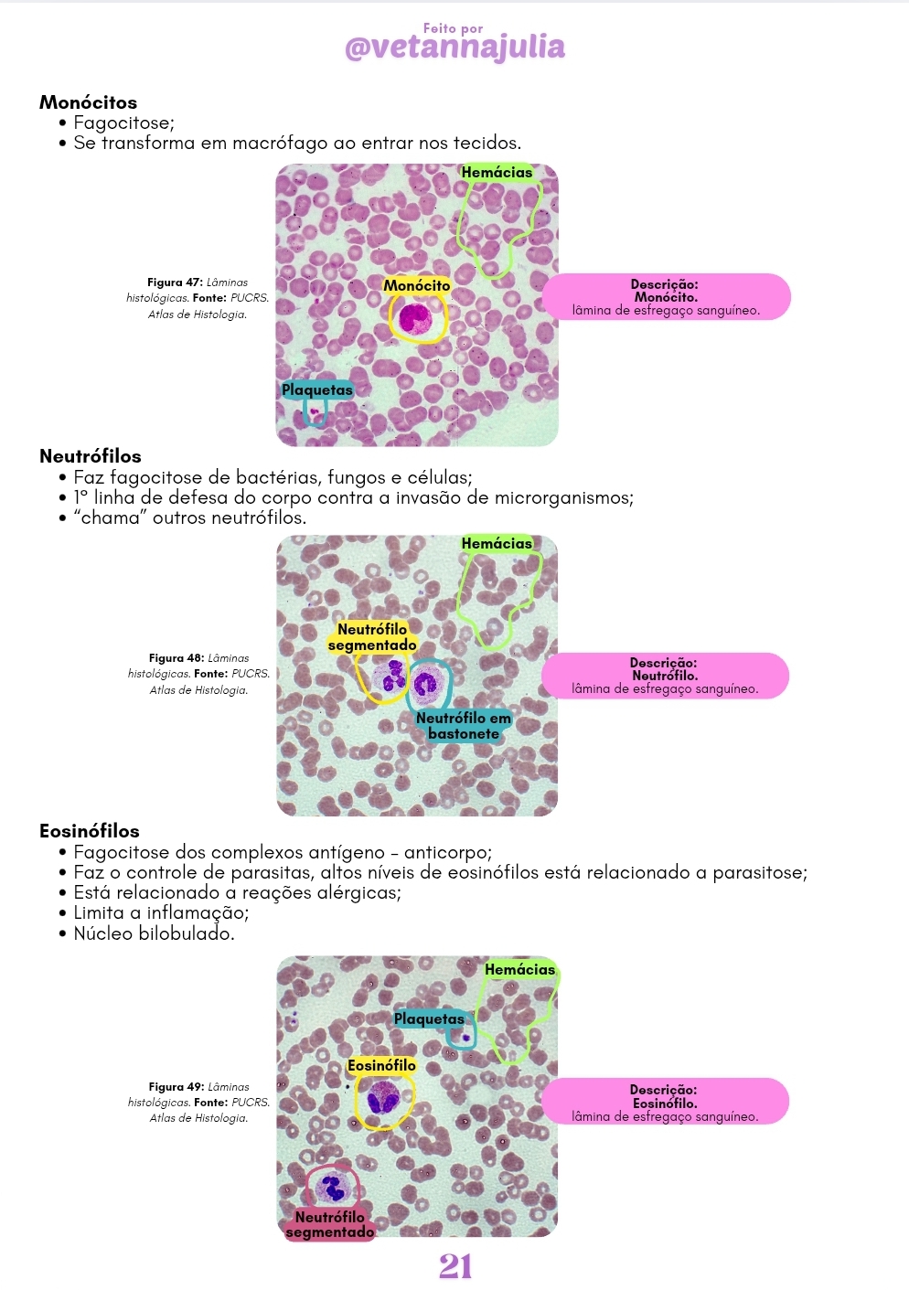 Screenshot_20250606_151414_Canva