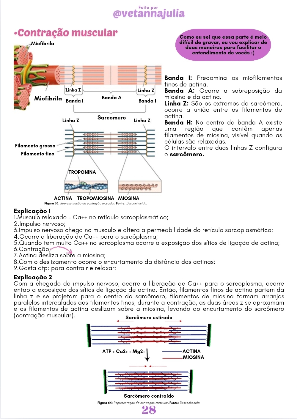 Screenshot_20250606_151557_Canva