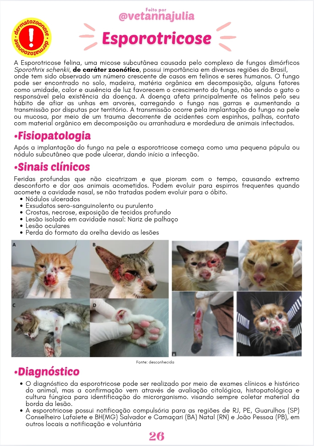 Screenshot_20250613_201735_Canva