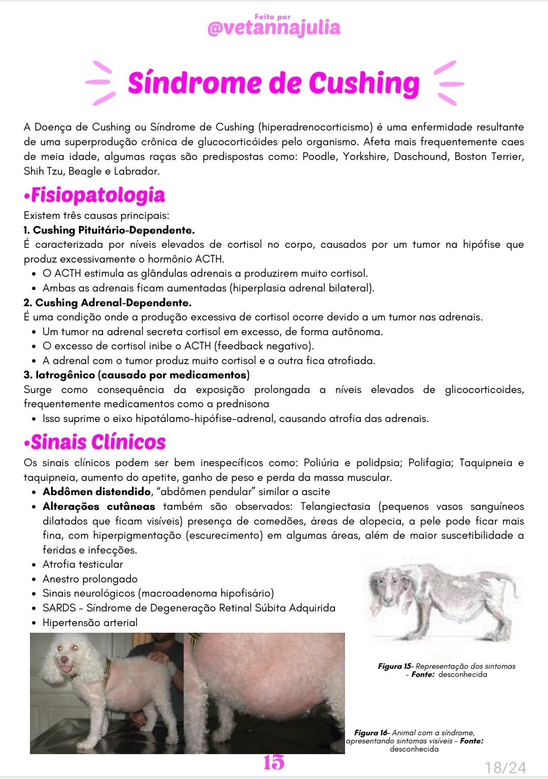 Screenshot_20250613_220904_Samsung Notes