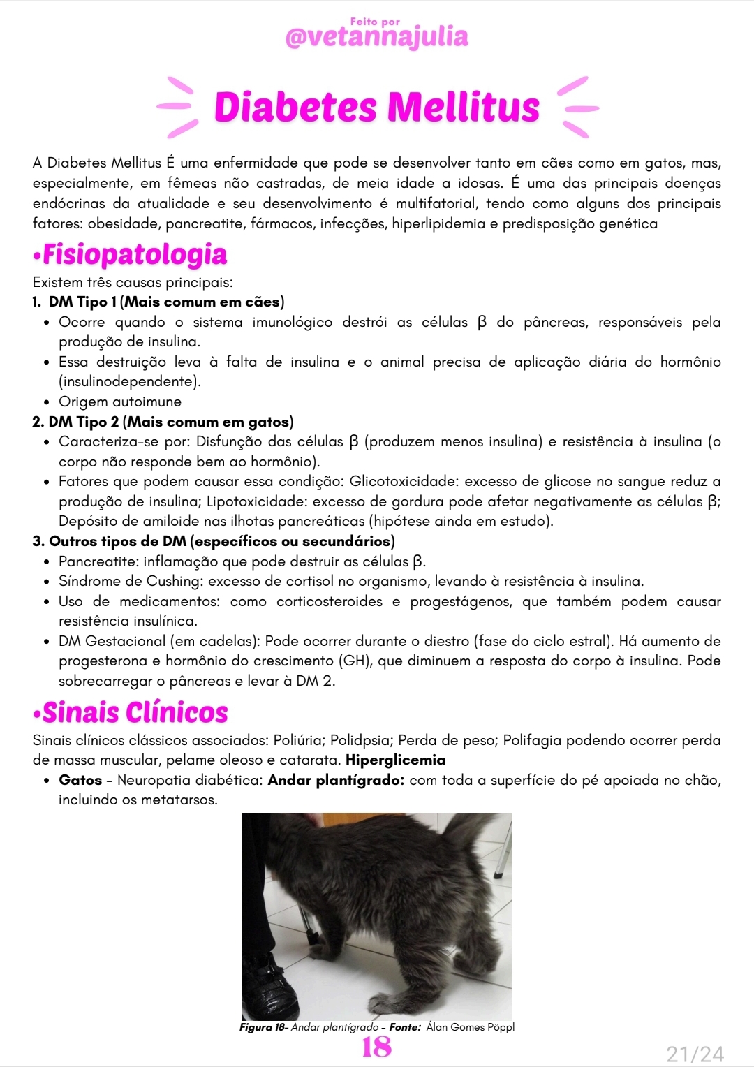 Screenshot_20250613_220921_Samsung Notes