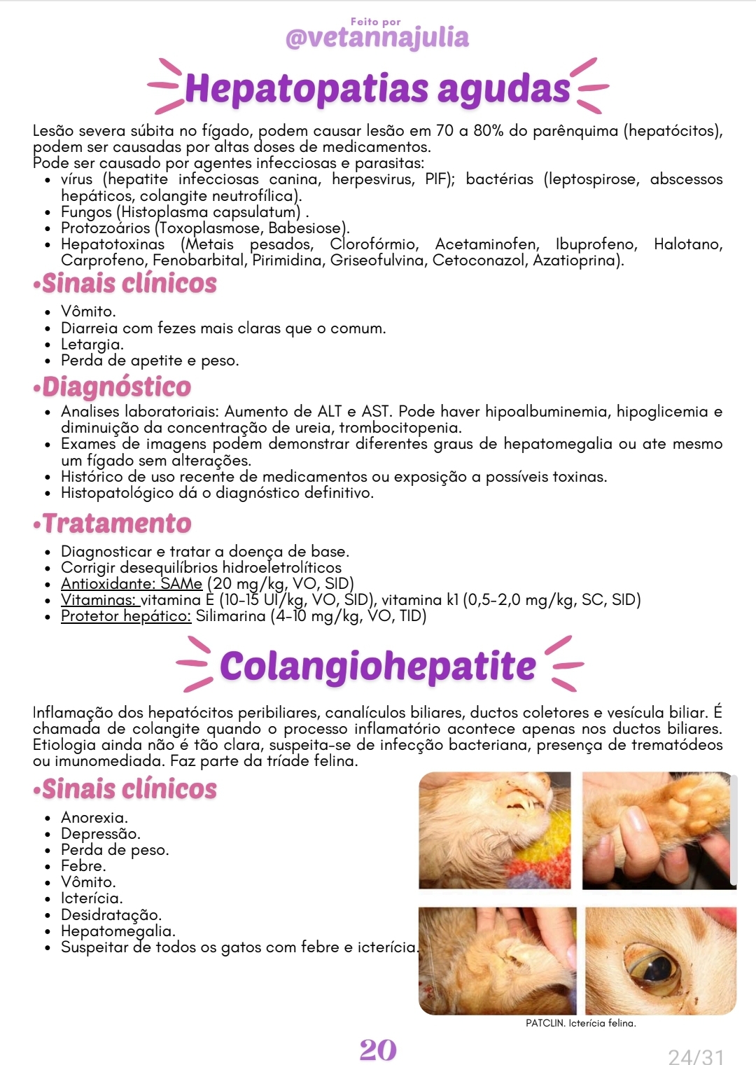 Screenshot_20250613_221236_Samsung Notes