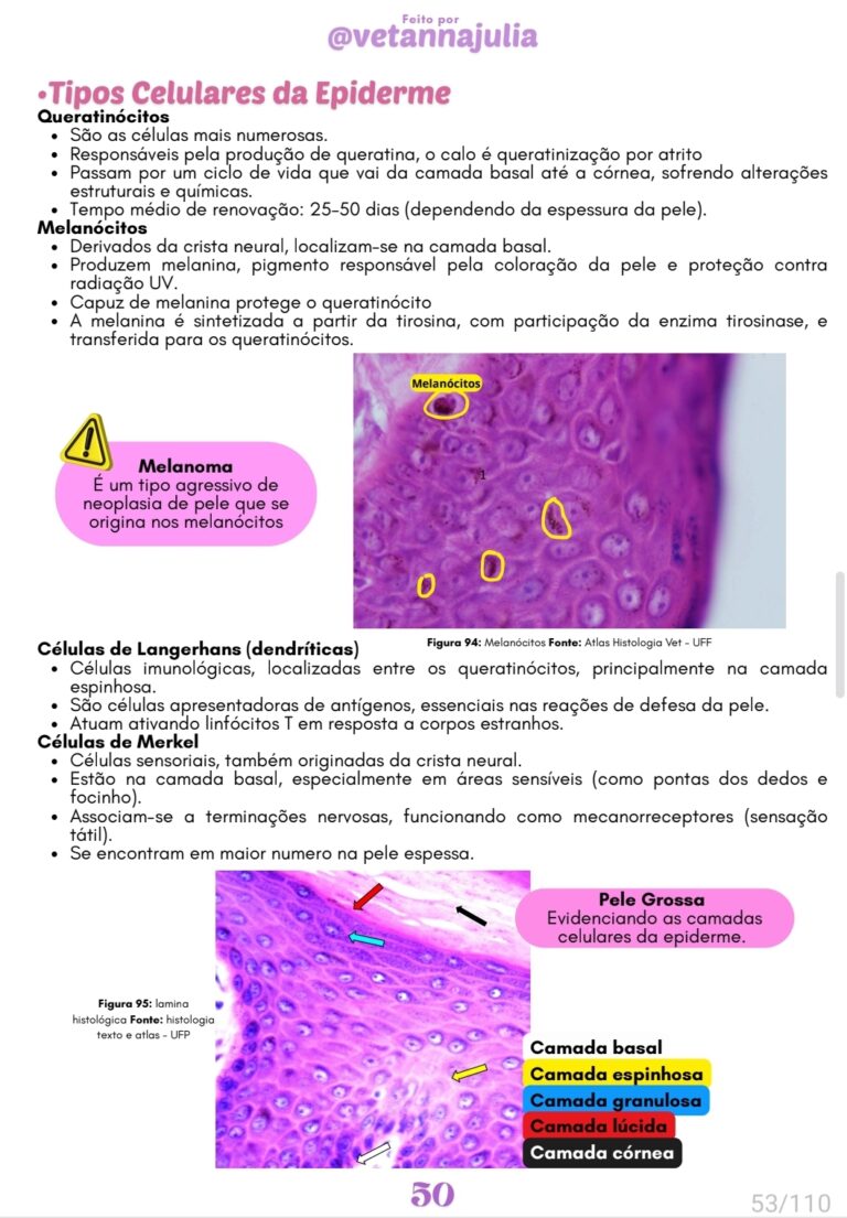 Screenshot_20250707_151023_Samsung Notes