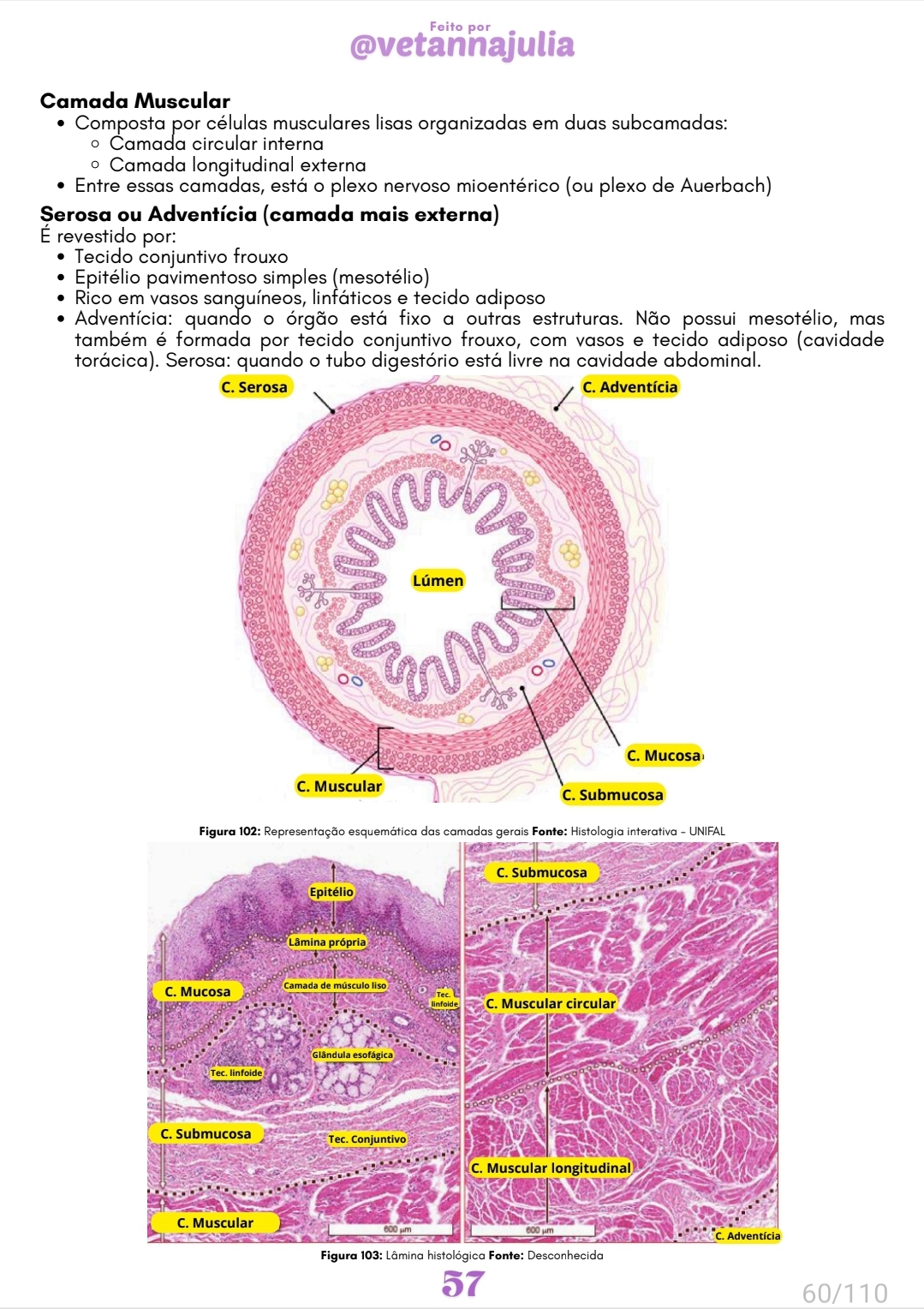 Screenshot_20250707_151122_Samsung Notes