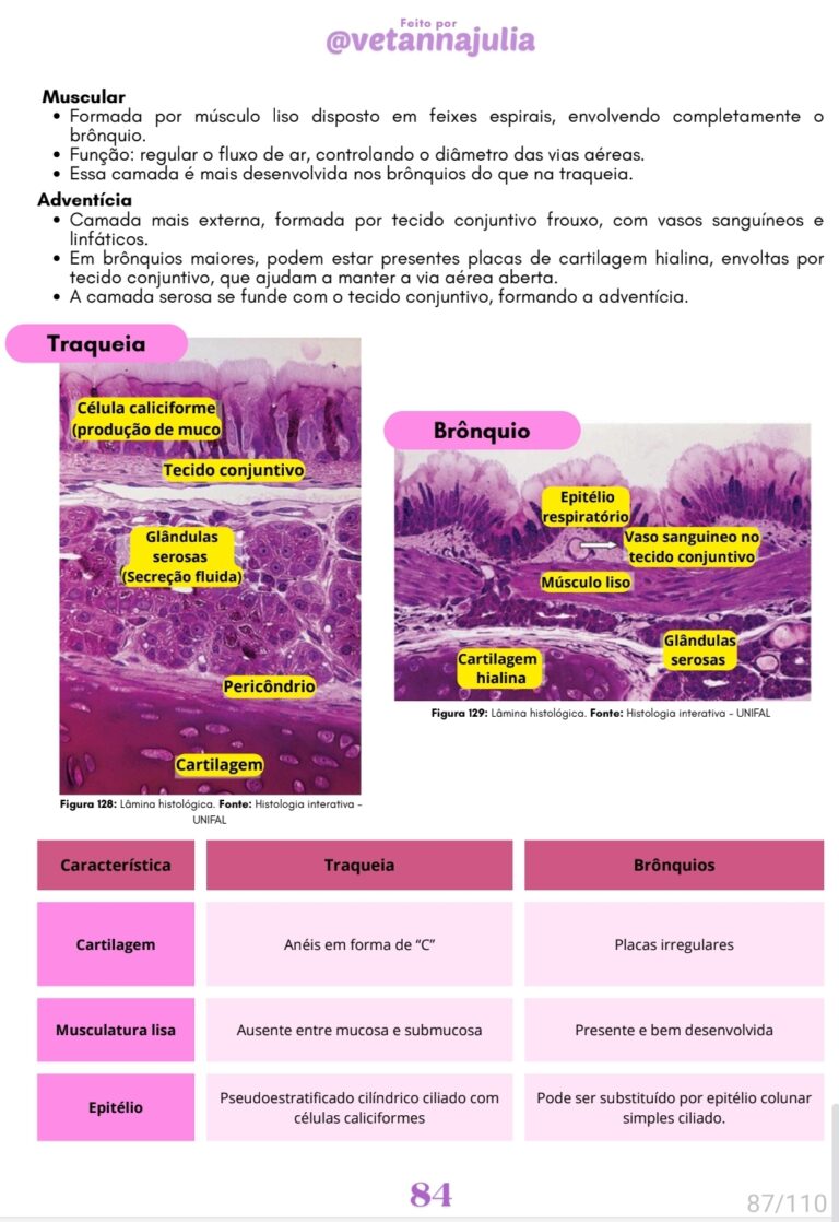 Screenshot_20250707_151318_Samsung Notes