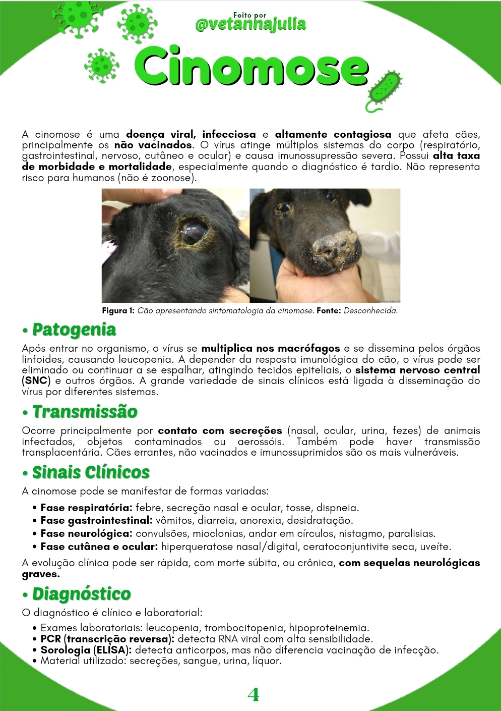 Screenshot_20250719_172505_Canva