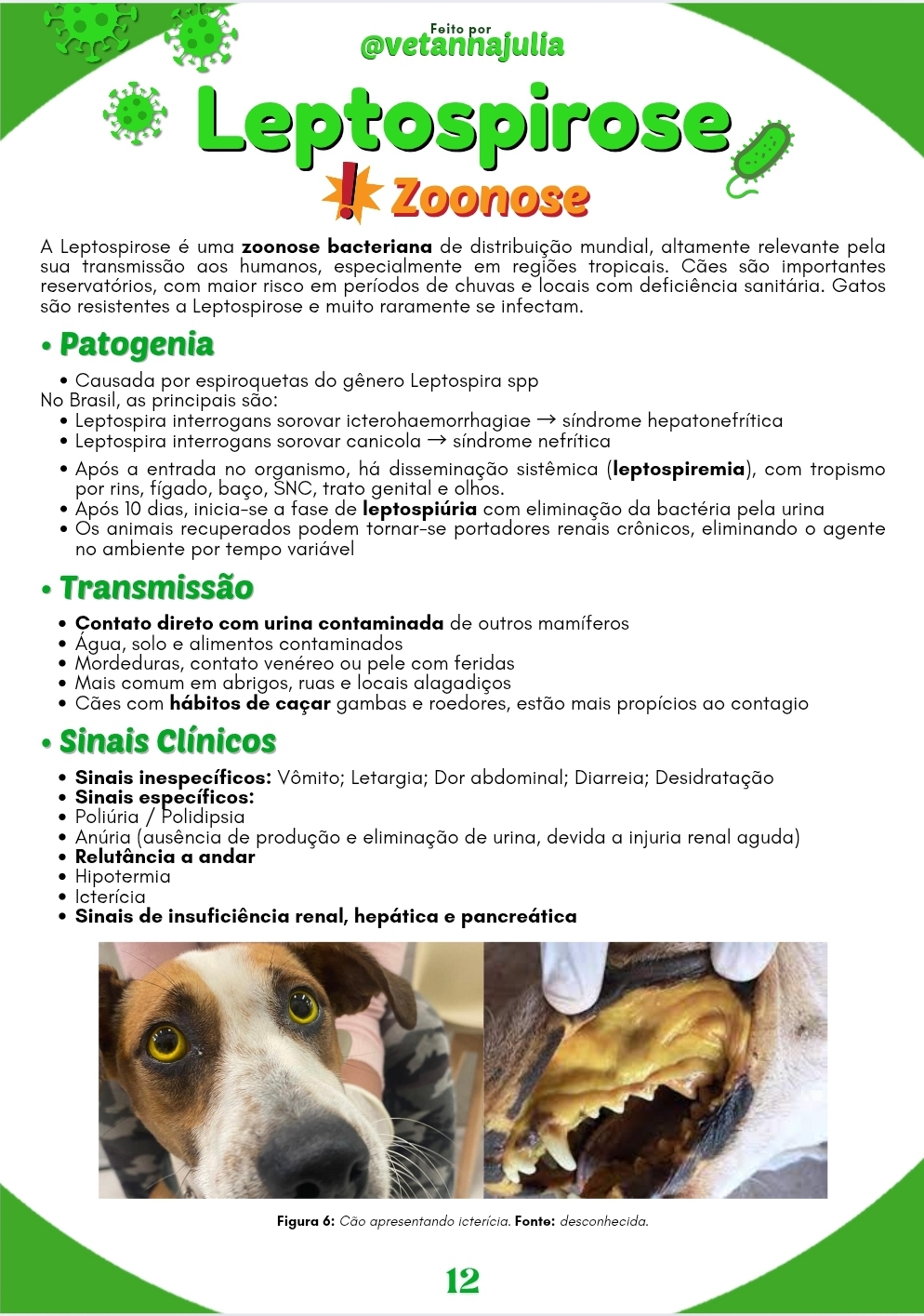 Screenshot_20250719_172536_Canva