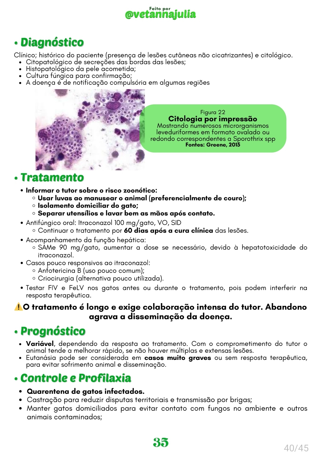 Screenshot_20250722_194746_Samsung Notes