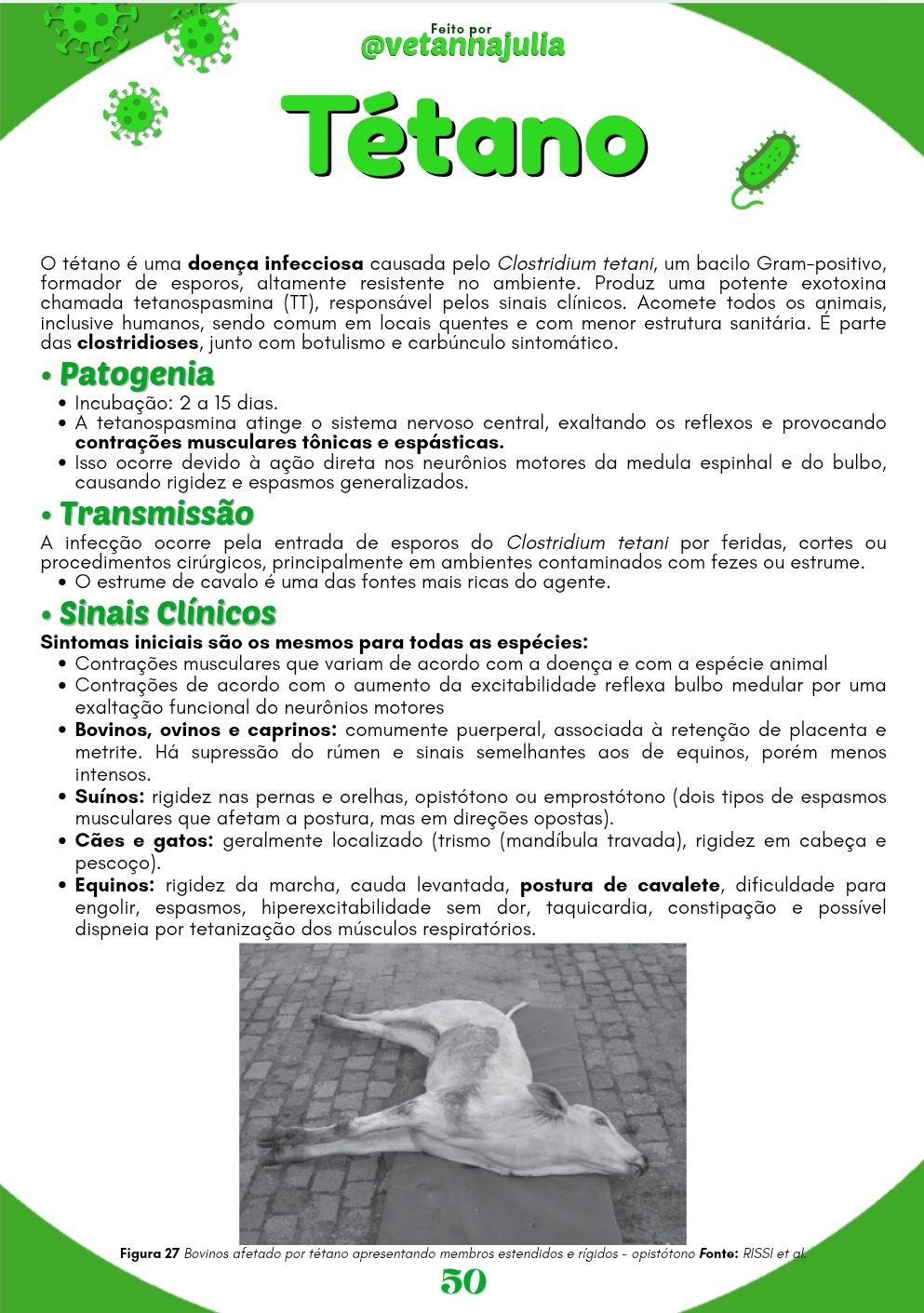 Screenshot_20250730_222051_Canva