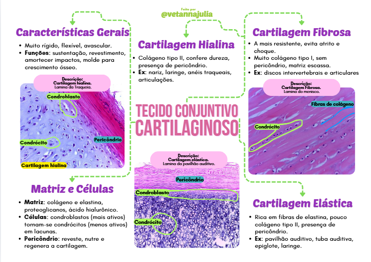 Captura de tela 2026-09-24 120302