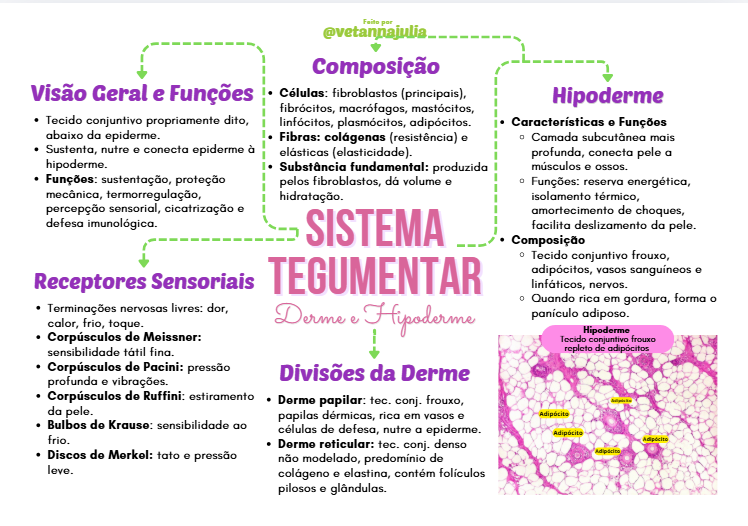 Captura de tela 2026-09-24 121757