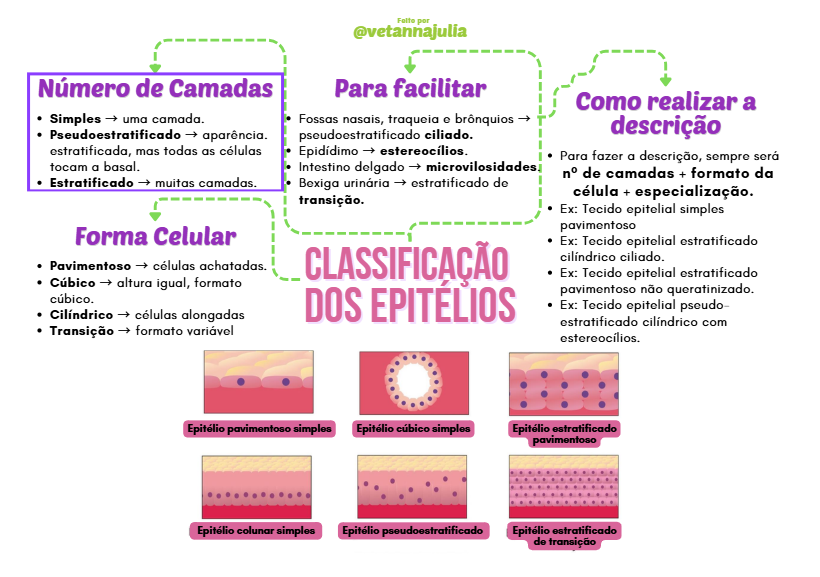 Captura de tela 2026-09-30 142320