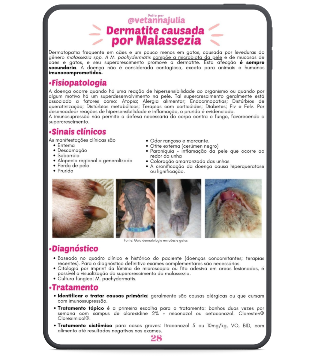 Design sem nome (15)