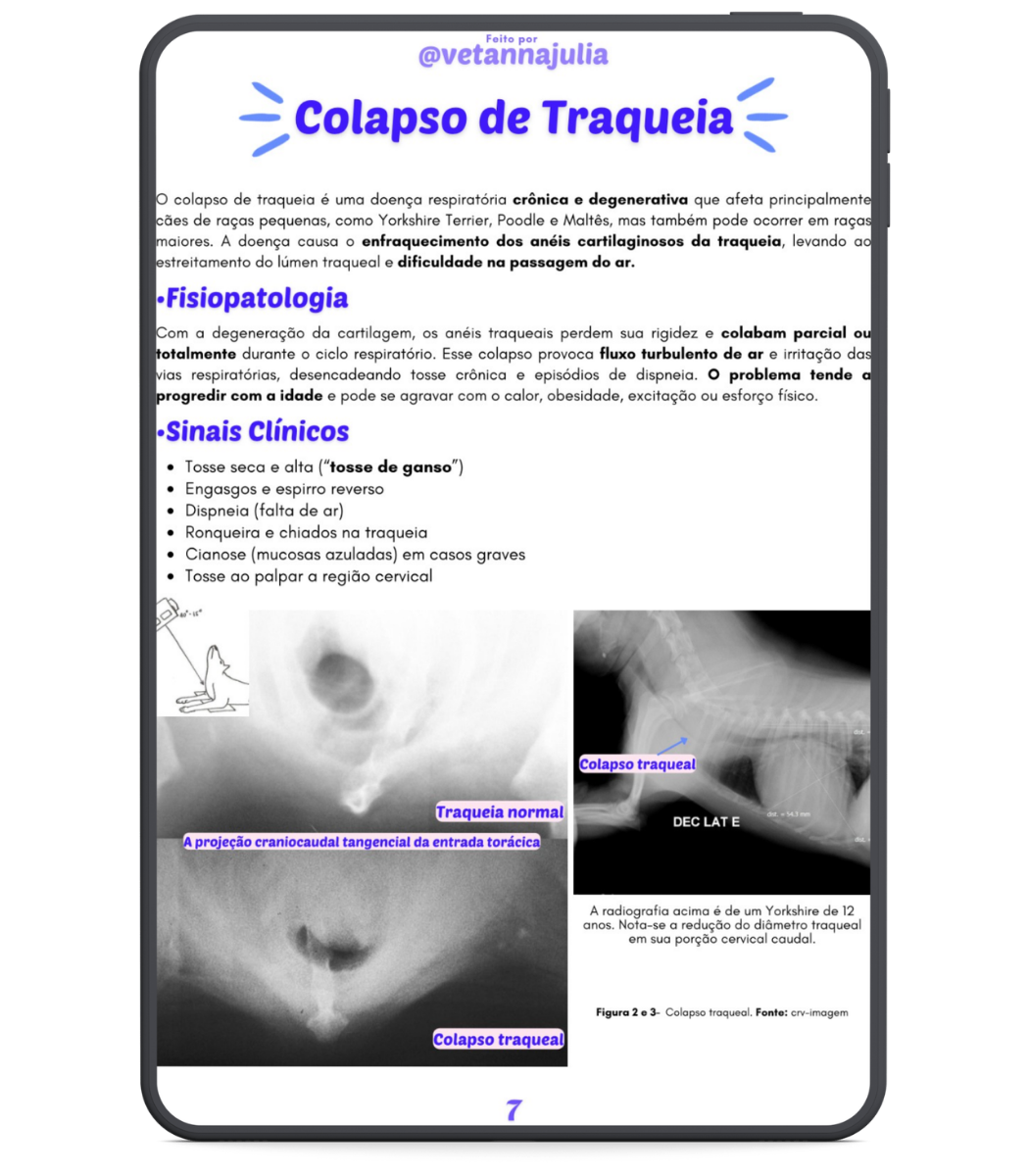 Design sem nome (16)
